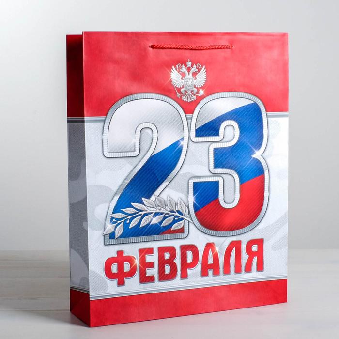 

Пакет ламинированный вертикальный «23 февраля!», S 12 х 15 х 5,5 см, Красный, Подарочная упаковка 23 февраля