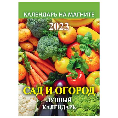 

Календарь отрывной на магните 2023 год Hatber 114686 10 штук