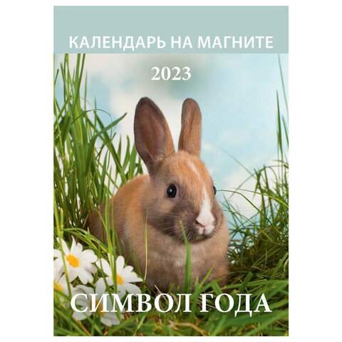 

Календарь отрывной на магните 2023 год Hatber 114688 10 штук