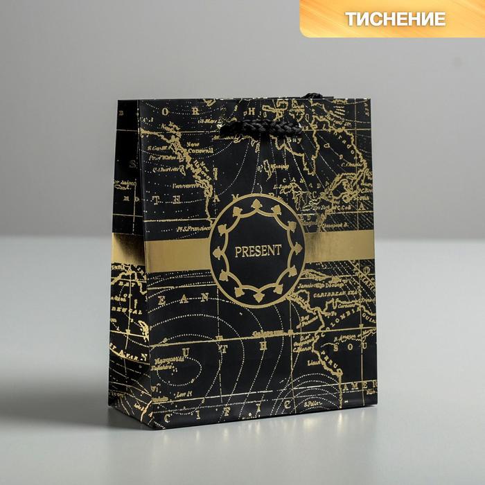 

Пакет ламинированный вертикальный «Gold present», S 12 × 15 × 5.5 см, Коллекция упаковки "Морская"