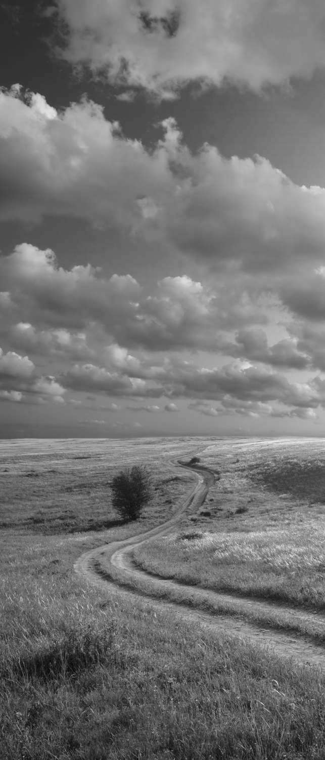 фото Самоклеющиеся фотообои "дорога", 90x210 см, эффект черно-белый фотообои.рф