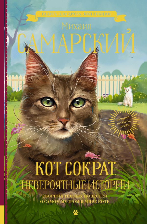 

Книга Кот Сократ. Невероятные истории