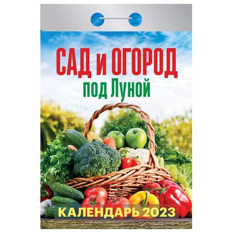 

Отрывной календарь на 2023 год Hatber 114713 10 штук