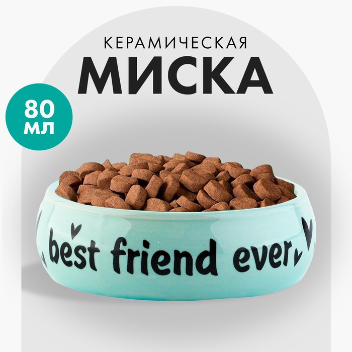 

Миска для грызунов Пушистое счастье Best friend, голубая, керамика, 80 мл, Голубой