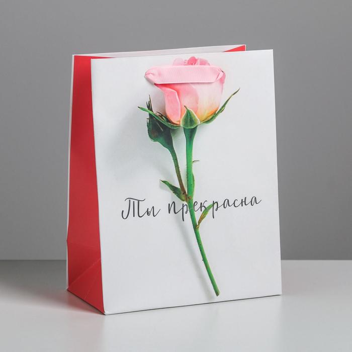 

Пакет ламинированный вертикальный «Ты прекрасна», MS 18 х 23 х 10 см, Белый, Коллекция упаковки "Нежные цветы"