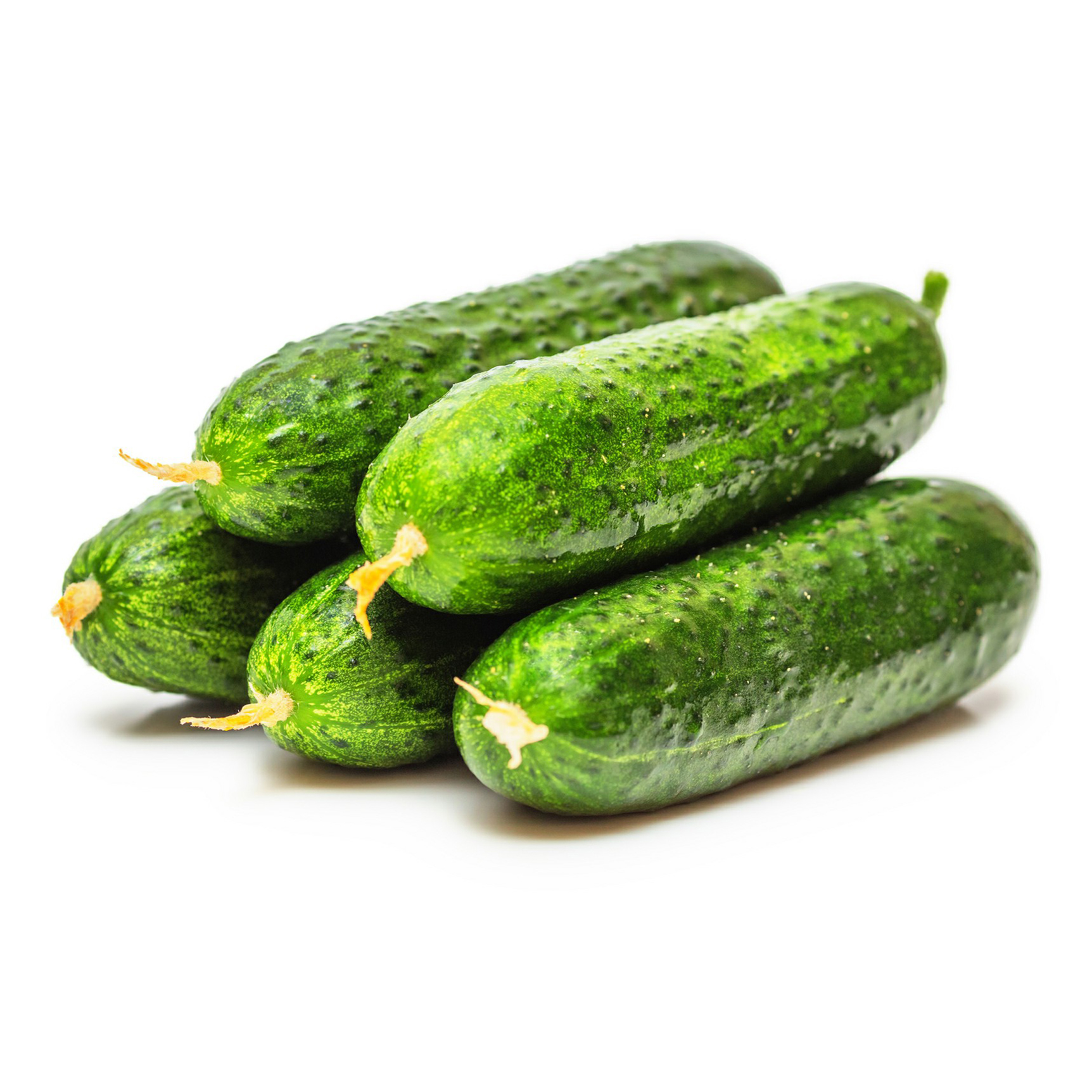 

Огурцы короткоплодные