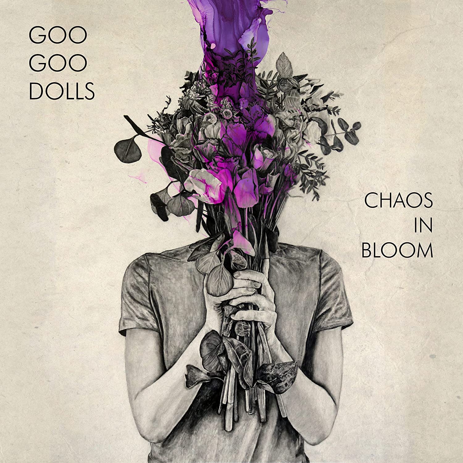 

Goo Goo Dolls Chaos In Bloom (CD)