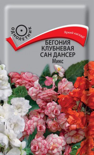 

Семена бегония Поиск Сан дансер 21686 1 уп., Бегония клубневая Сан Дансер