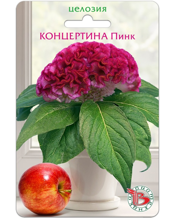 

Семена цветов целозия Пинк Биотехника 23761 4 г 1 шт., Концертина Пинк