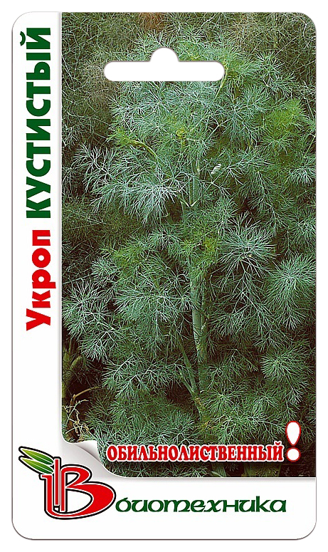 

Укроп Кустистый, Кустистый