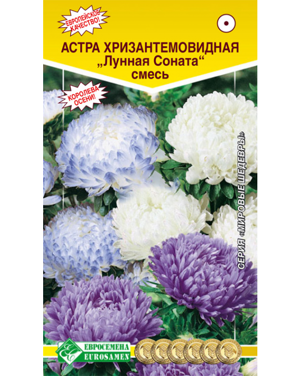 

Астра хризантемовидная Лунная Соната, смесь, Лунная Соната