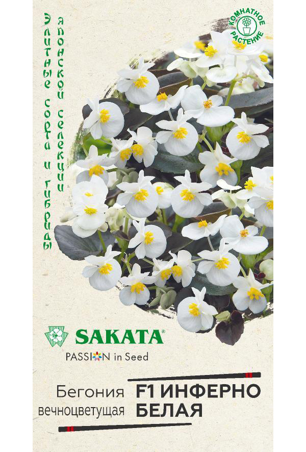 

Семена бегония Sakata Инферно белая F1 24503 1 уп., Инферно F1