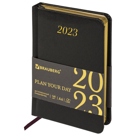 

Ежедневник датированный Brauberg Iguana 2023 100х150 мм