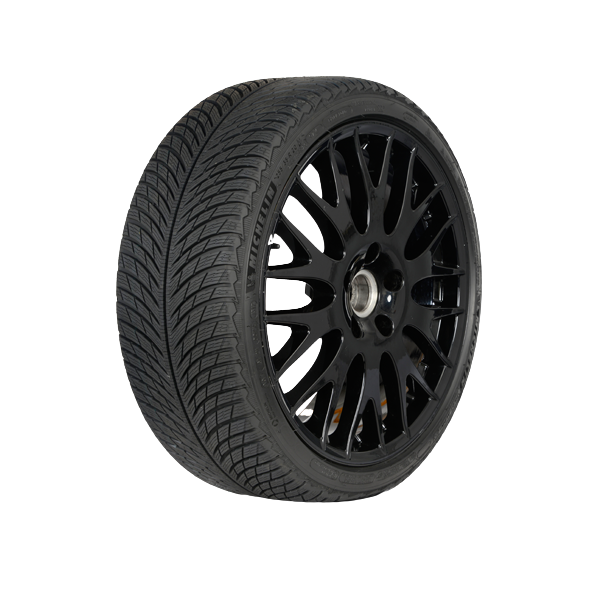 фото Шины michelin pilot alpin 5 suv 275/40 r21 107v 867263