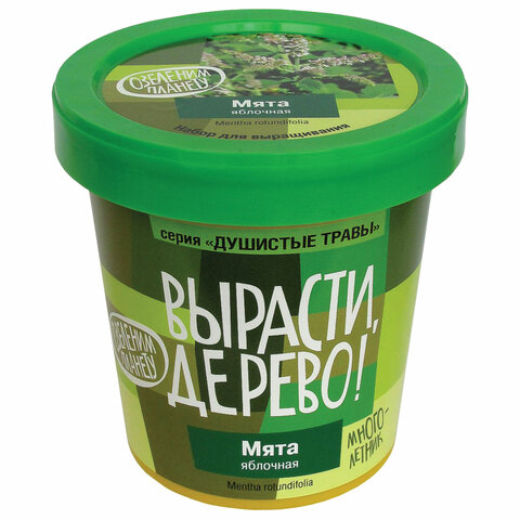 

Набор для выращивания растений ВЫРАСТИ ДЕРЕВО! "Мята яблочная", zk-093