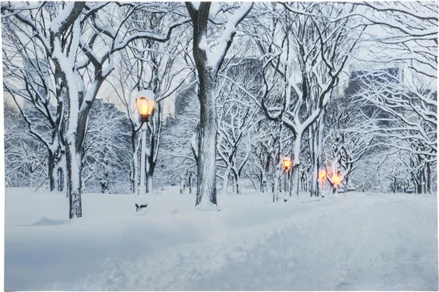 фото Светящаяся картина снежная прогулка - в парке, 6 led-огней, 57х37 см, батарейки, kaemingk