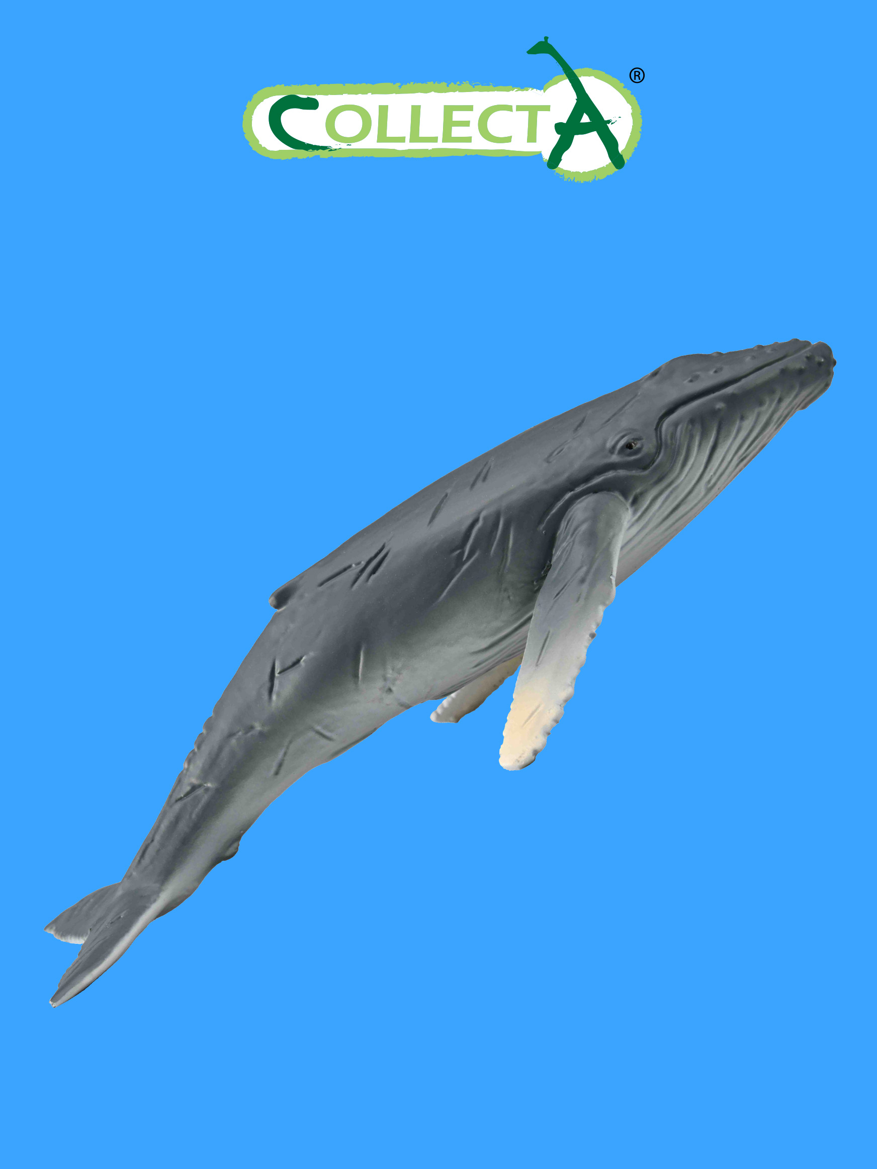 Фигурка Collecta животного Горбатый кит детёныш фигурка морского животного collecta детёныш пятнистого тюленя