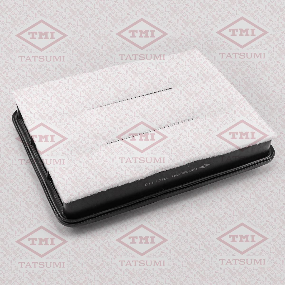 

Фильтр воздушный двигателя Tatsumi tbc1110