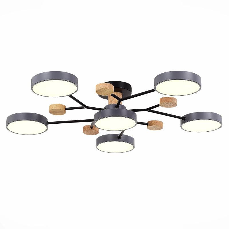 

Люстра на штанге Evoluce Faema SLE6006-702-06, Faema