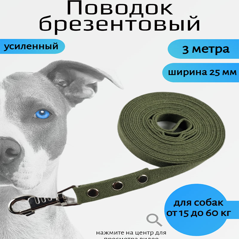 

Поводок для собак Хвостатыч с усиленным карабином, брезент, зеленый 3 м х 25 мм