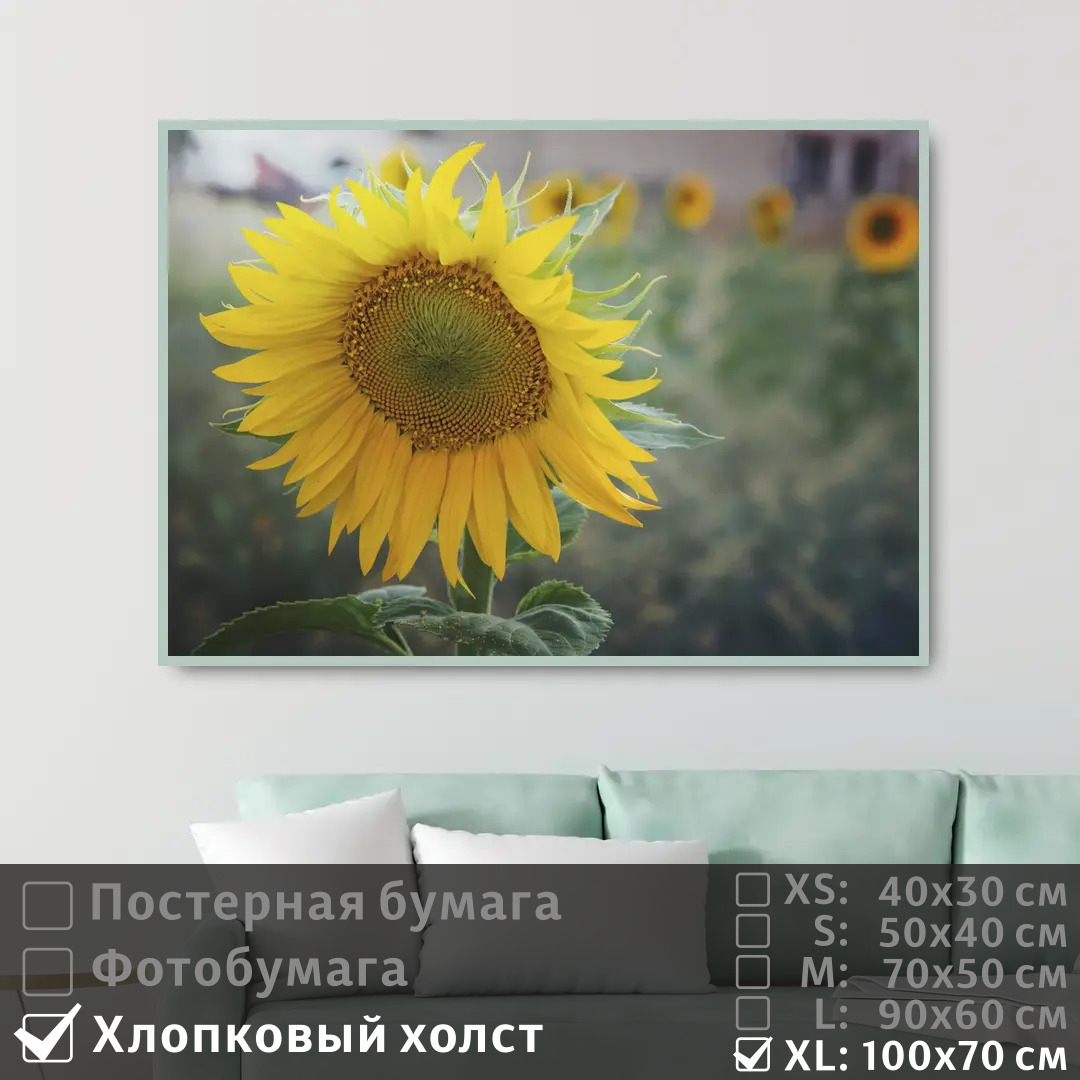 

Постер на холсте ПолиЦентр Подсолнух 100х70 см, Подсолнух1