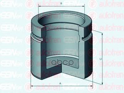 

Поршень Тормозного Суппорта Перед SEINSA D025456