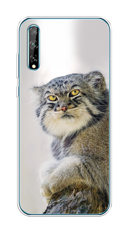 

Чехол на Huawei Y8p/P Smart S "Кот манул 1", Серый;белый;желтый, 6103550-1