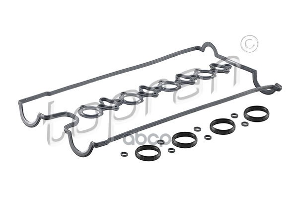 

Комплект Прокладок Клапанной Крышки (Замена Для Hp-207052786) topran арт. 207052001