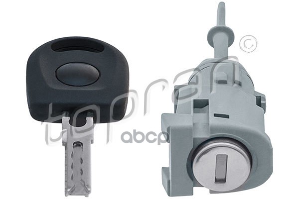 

Вставка Замка Двери С Ключами (Замена Для Hp-113574755) topran арт. 113574001