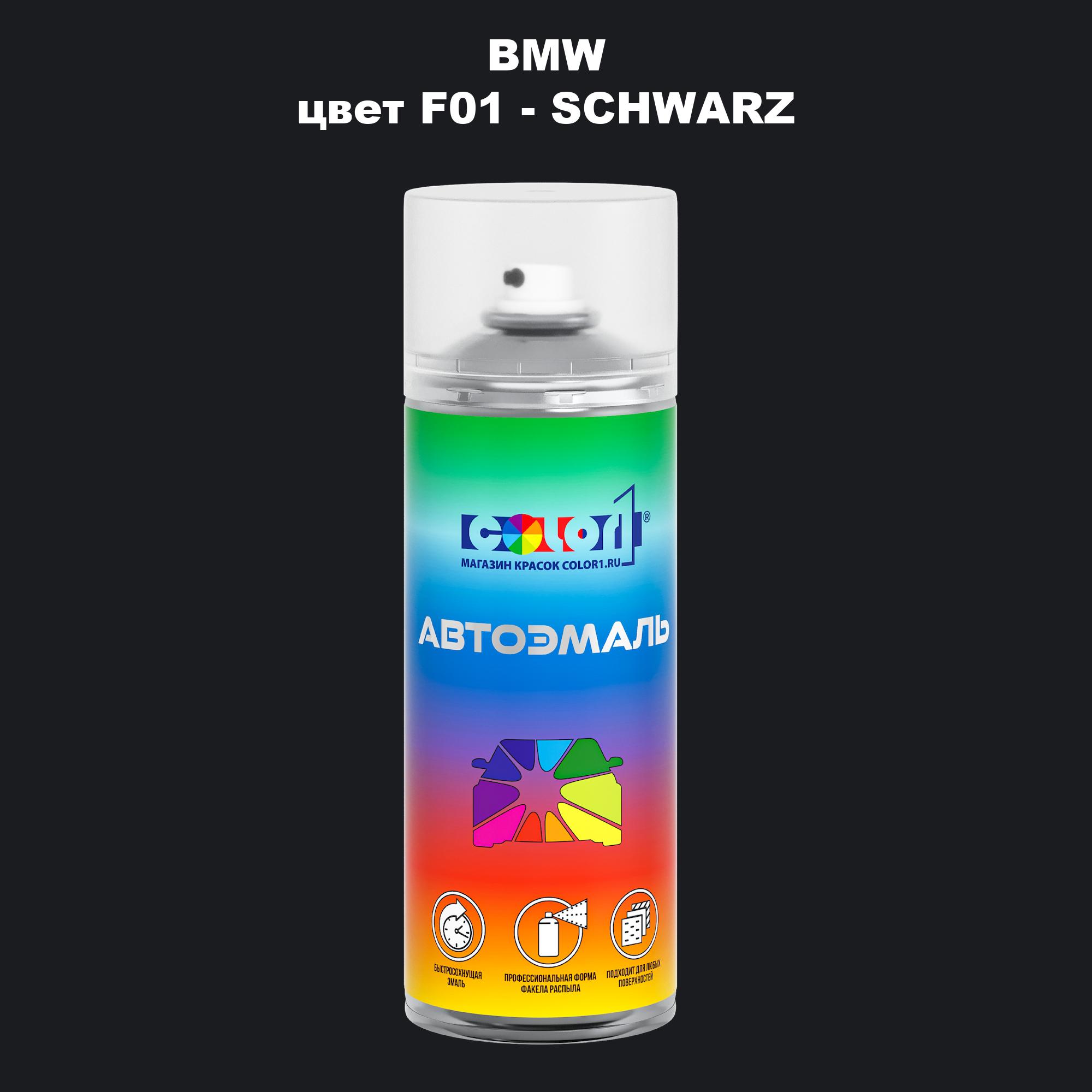 

Аэрозольная краска COLOR1 для BMW, цвет F01 - SCHWARZ, Прозрачный