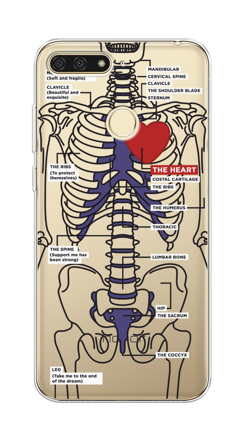 

Чехол на Honor 7C/7A Pro, Huawei Y6 Prime 2018 "Скелет человека", Прозрачный;синий;красный, 65450-1