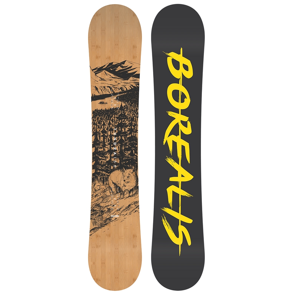 

Сноуборд Borealis Tundra ptktysq 156 см 2023, Зеленый, Tundra