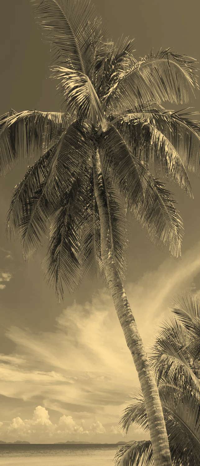 фото Самоклеющиеся фотообои "пальмовый пляж", 90x210 см, эффект сепия фотообои.рф