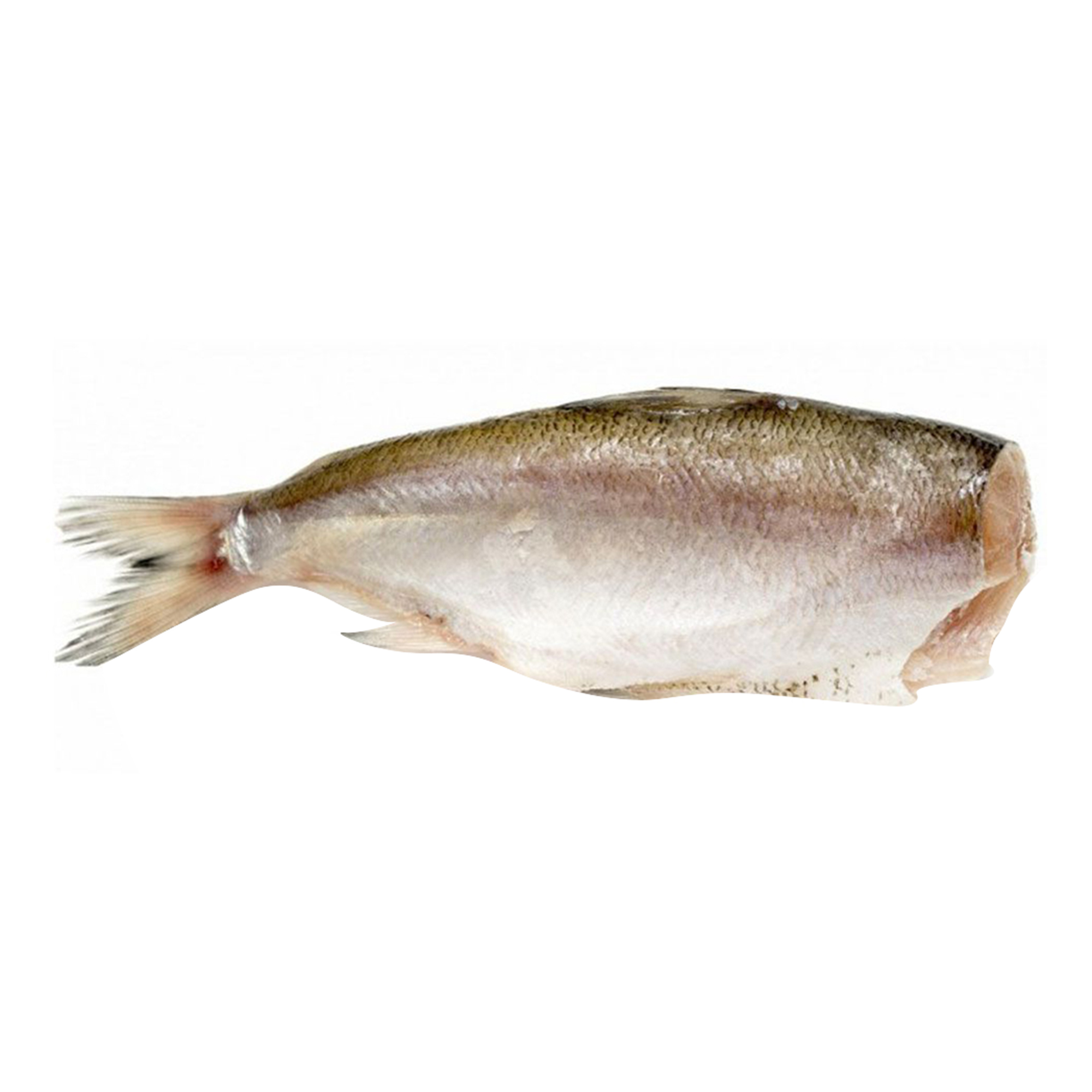 

Минтай Ultra Fish замороженный тушка +-0,5 кг
