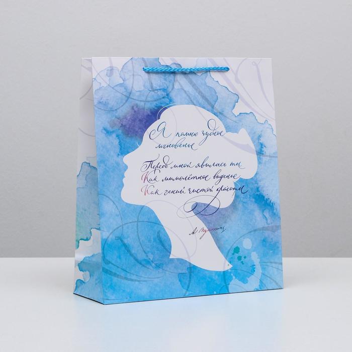 

Пакет ламинированный вертикальный «Чудное мгновенье», M 26 × 30 × 9 см, Коллекция упаковки "Акварельная"