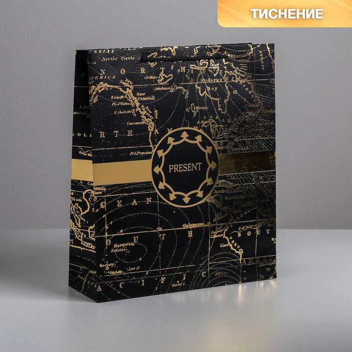 

Пакет ламинированный вертикальный Gold present, M 26 × 30 × 9 см, Коллекция упаковки "Морская"
