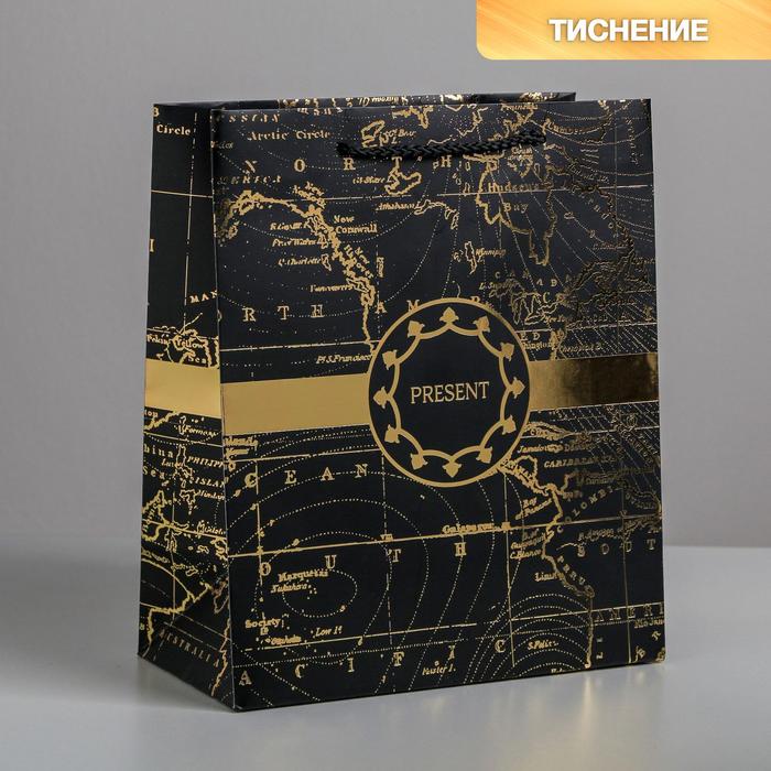 

Пакет ламинированный вертикальный Gold present, ML 23 х 27 х 11,5 см, Черный, Коллекция упаковки "Морская"