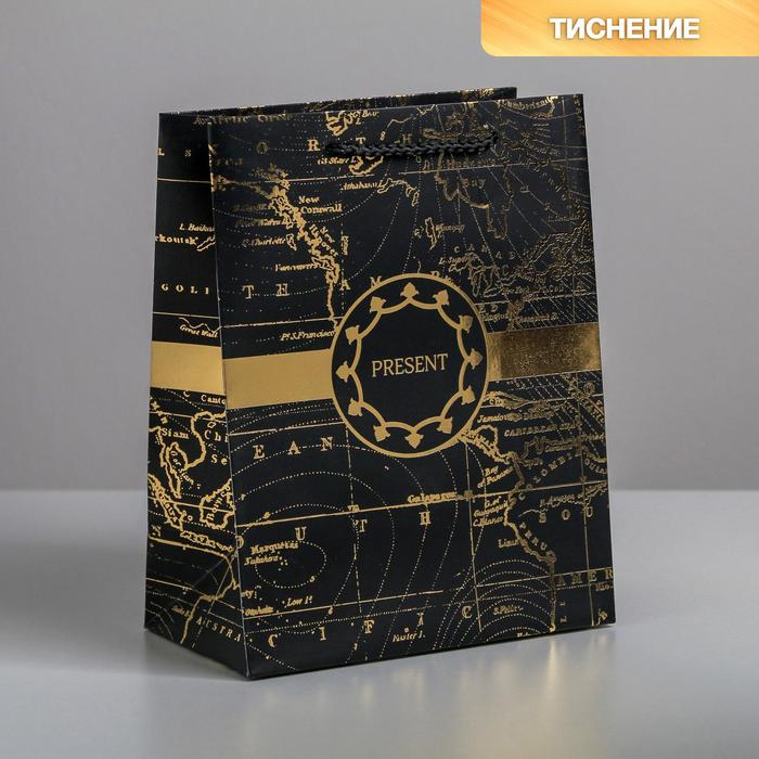 

Пакет ламинированный вертикальный Gold present, MS 18 × 23 × 10 см, Коллекция упаковки "Морская"