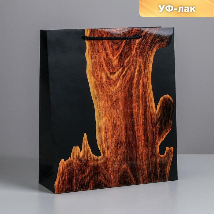 

Пакет ламинированный вертикальный Wood, M 26 × 30 × 9 см, Коллекция упаковки "Мужская"