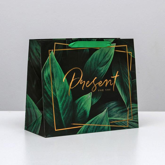 

Пакет ламинированный горизонтальный «Present for you», ML 27 х 23 х 11,5 см, Зеленый, Коллекция упаковки "Тропическая"