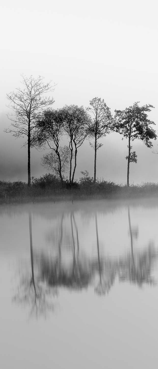 фото Самоклеющиеся фотообои "утренний туман, ч-б", 90x210 см фотообои.рф