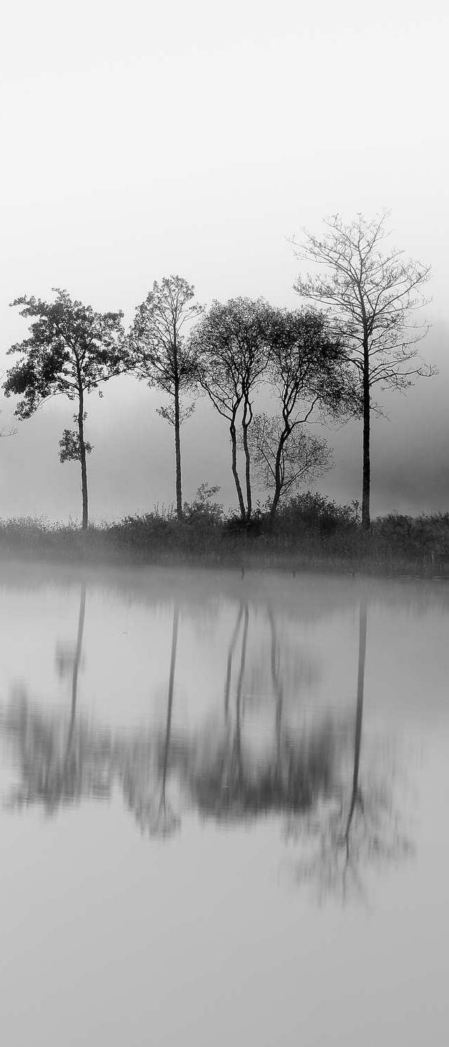 фото Самоклеющиеся фотообои "утренний туман, ч-б", 90x210 см, эффект отраженный фотообои.рф