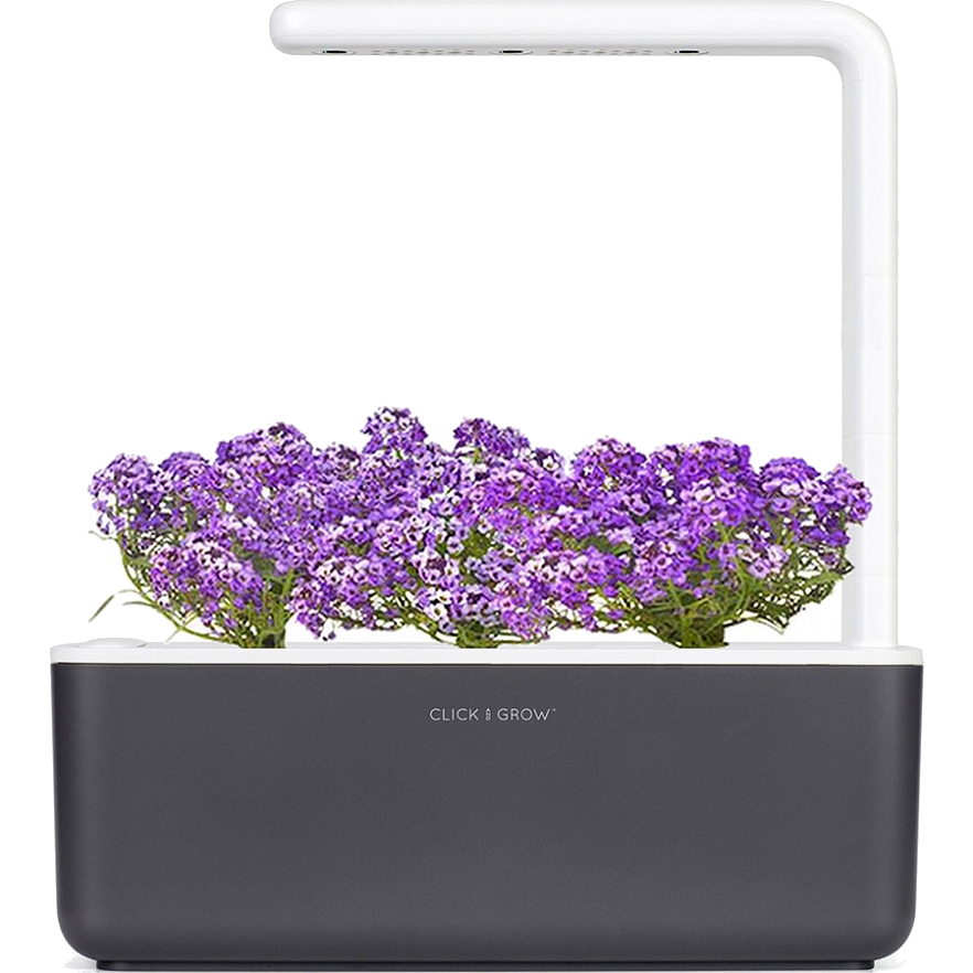 фото Умный сад click and grow smart garden 3 алиссум душистый (чёрная крышка)