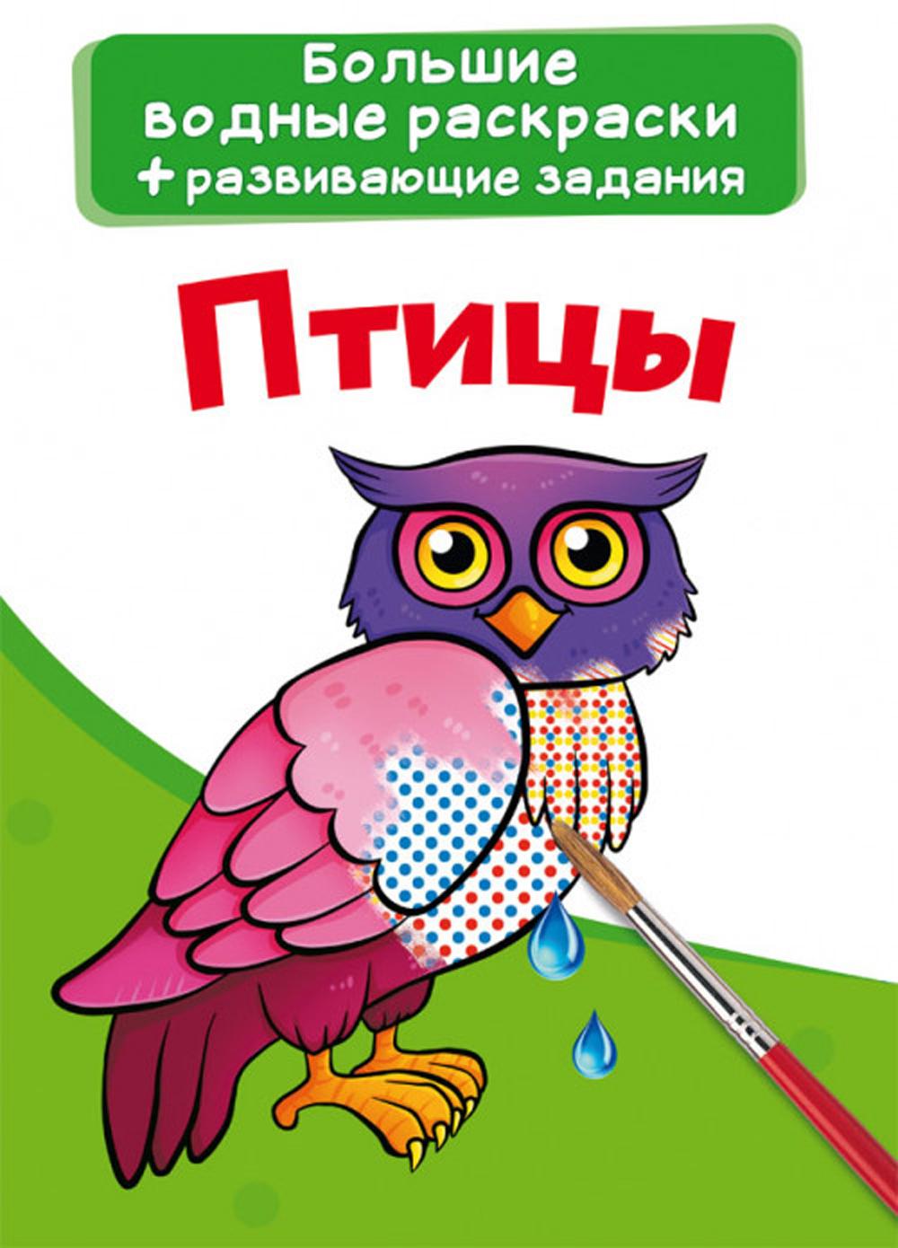 

Книга Большие водные раскраски. Птицы