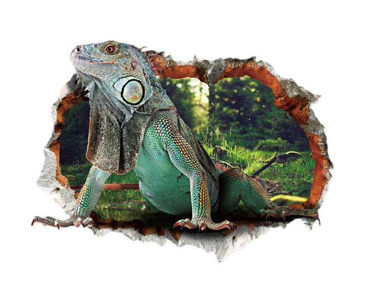 

Накейка на стену Игуана К 1035 - 31, К 1035