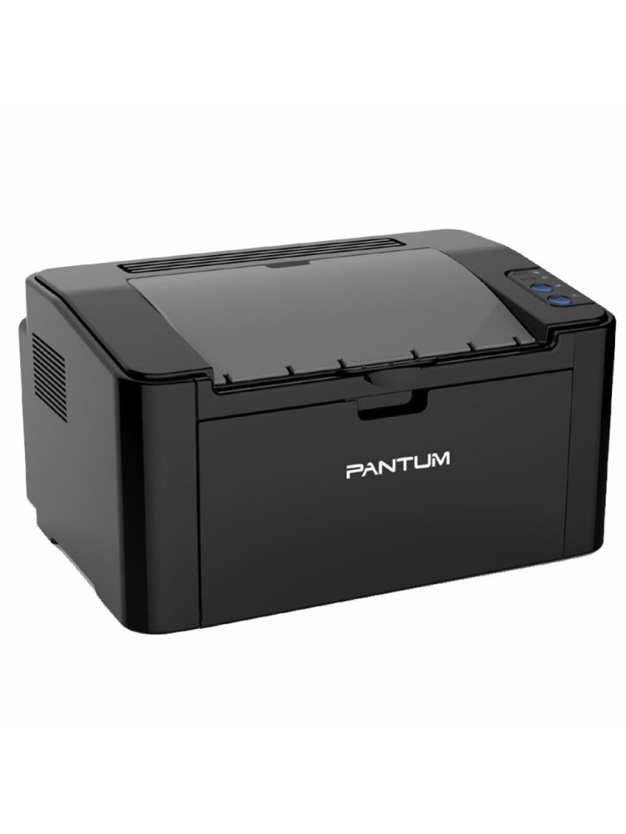 Лазерный принтер Pantum P2507 (P2507)