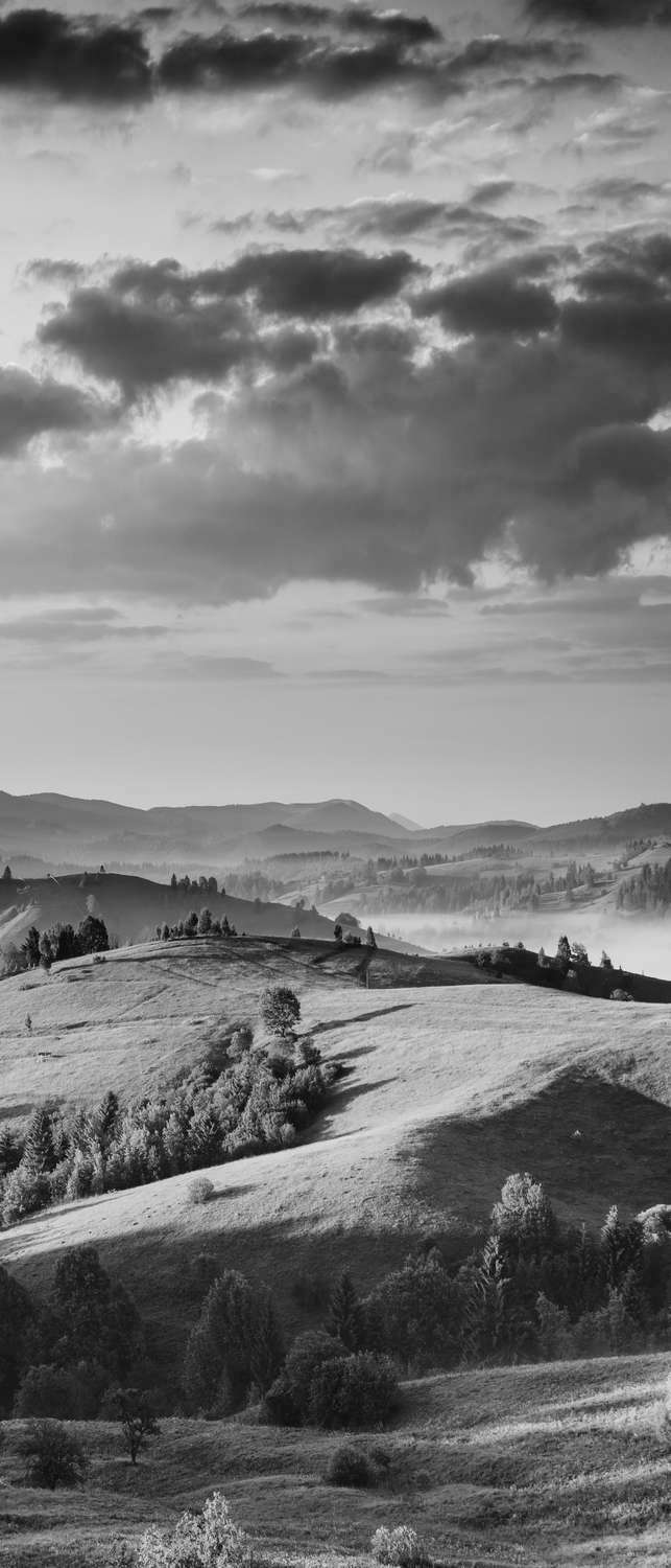 фото Самоклеющиеся фотообои "украина, карпаты 2", 90x210 см, эффект черно-белый фотообои.рф