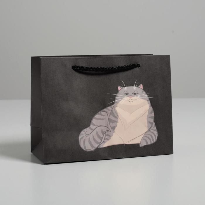

Пакет подарочный «Keep calm», 14,5 × 19,5 × 8,5 см, Коллекция упаковки "Коты"