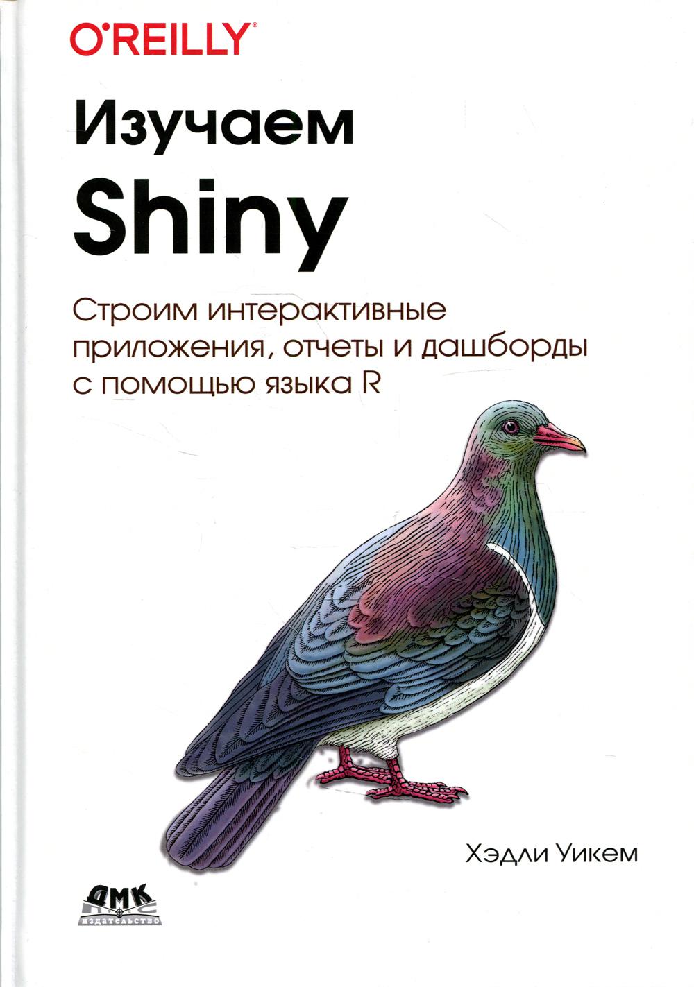 фото Книга изучаем shiny дмк пресс