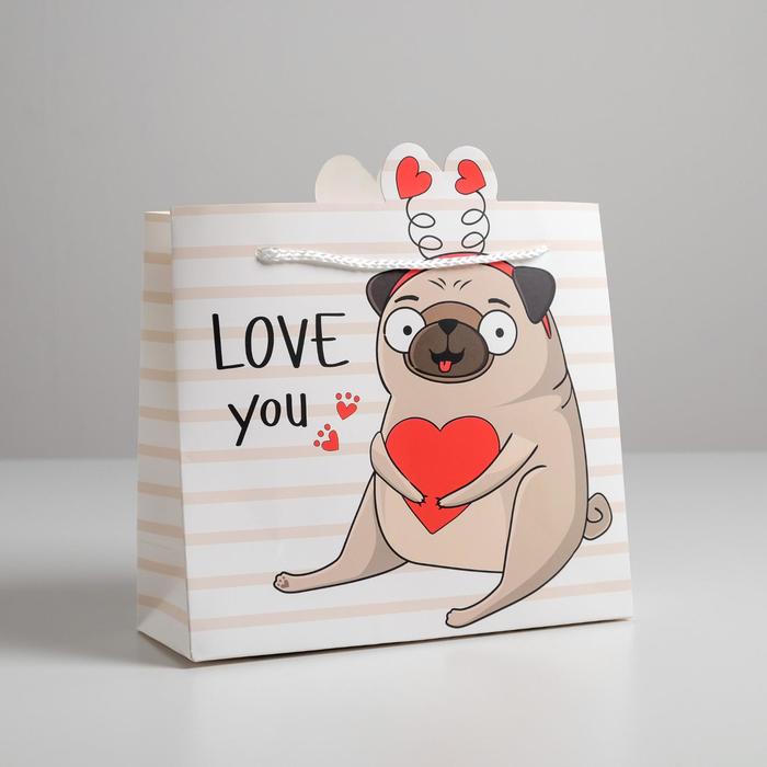 

Пакет подарочный «Love you», 25 × 26 × 10 см, Подарочная упаковка 14 февраля